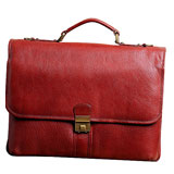 Spacious Portfolio Bag