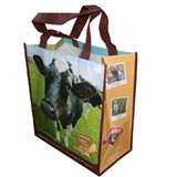 Laminated Non-woven Bags